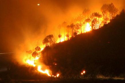 La difesa dell’ambiente può essere solo&nbsp;anticapitalista