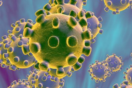 I virus dei pregiudizi ideologici e razziali sono molto peggio del&nbsp;coronavirus