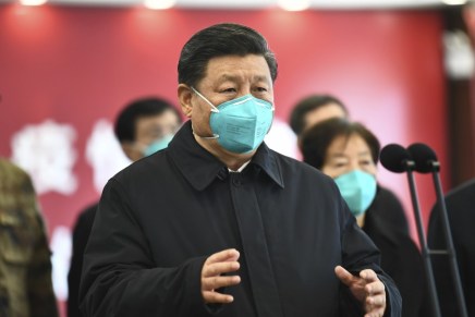 Xi Jinping dichiara la vittoria della Cina sul&nbsp;coronavirus