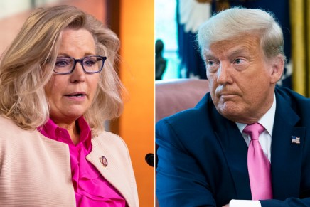 Lo scontro fra Liz Cheney e Trump sul futuro del Partito&nbsp;Repubblicano