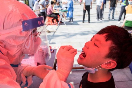 La Cina dimostra che la variante Delta può essere&nbsp;controllata