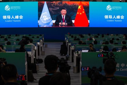 Xi Jinping: “Lavorare insieme per costruire una comunità di tutta la vita sulla Terra” Xi Jinping: “Lavorare insieme per costruire una comunità di tutta la vita sulla Terra”
