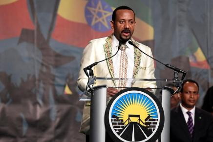 Si intensifica la guerra in Etiopia, proclamato lo stato d’emergenza