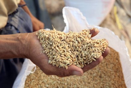 Le falsità degli Stati Uniti sulla Cina – Parte 20: la crisi alimentare&nbsp;globale