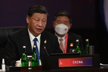Xi Jinping: “Lavorare insieme per affrontare le sfide dei nostri tempi e costruire un futuro&nbsp;migliore”