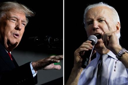 Sconfitta indolore dei democratici all’elezione di&nbsp;midterm