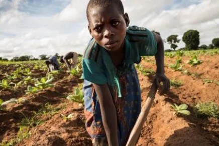 Svelato lo scandalo del lavoro minorile negli Stati&nbsp;Uniti