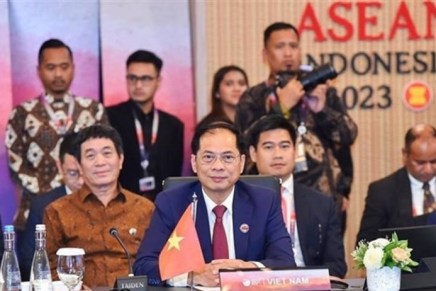 Il Vietnam fa sentire la sua voce nell’arena&nbsp;internazionale