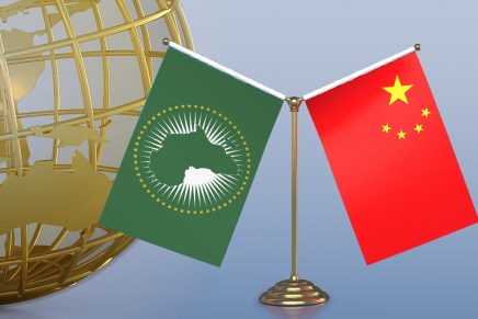 Il Forum sulla sicurezza Cina-Africa promuove la pace&nbsp;globale