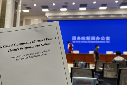 Una comunità globale dal futuro condiviso: proposte e azioni della&nbsp;Cina