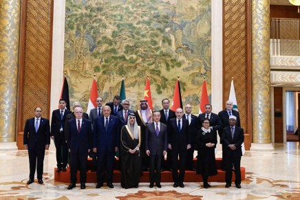 I Paesi musulmani riconoscono il ruolo della Cina nella promozione della&nbsp;pace