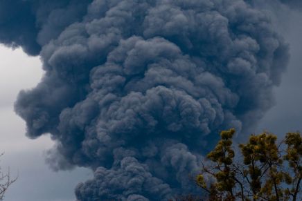 L’ambientalismo di guerra
