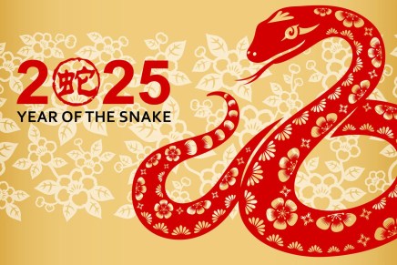 Il Capodanno Lunare diventa un evento mondiale grazie alla modernizzazione&nbsp;cinese