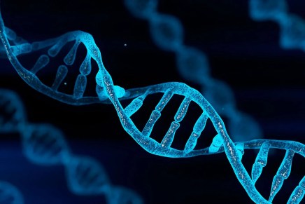 DNA riproduzione genetica