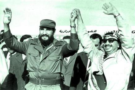 Palestina, una causa di&nbsp;Fidel