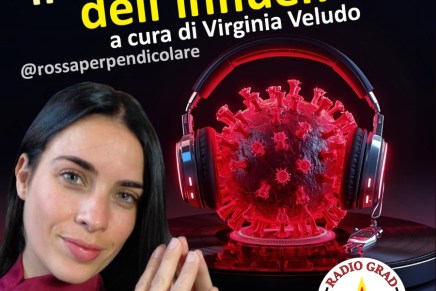 Il Virus dell’Influencer – Il ritorno del socialismo e la paura dei potenti di Virginia&nbsp;Veludo