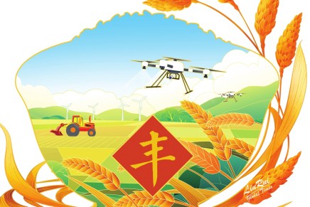 La Cina garantisce la propria sicurezza alimentare con un nuovo record nella produzione&nbsp;cerealicola