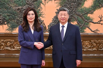 Xi incontra la leader del KMT e sollecita sforzi congiunti per promuovere la pace tra le due sponde e opporsi alla secessione dell’“indipendenza di&nbsp;Taiwan”