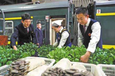 Cina: in vent’anni, la ferrovia Qinghai-Xizang ha trasformato la logistica regionale Cina: in vent’anni, la ferrovia Qinghai-Xizang ha trasformato la logistica regionale