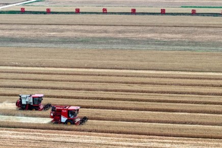 La Cina si impegna a condividere i risultati dell’innovazione per rafforzare la sicurezza alimentare nell’Asia-Pacifico