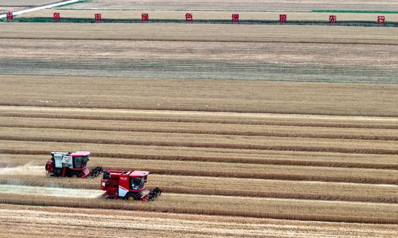 La Cina si impegna a condividere i risultati dell’innovazione per rafforzare la sicurezza alimentare nell’Asia-Pacifico