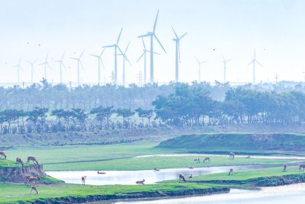 Come il nuovo Codice ecologico e ambientale cinese traduce gli obiettivi nazionali in regole&nbsp;quotidiane