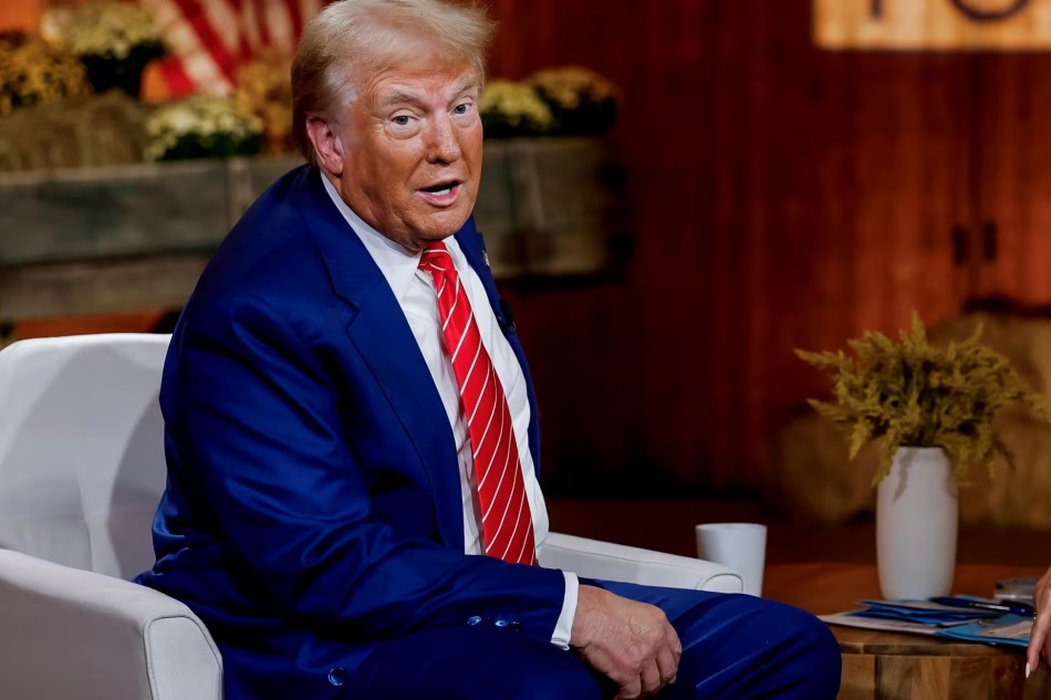 Tra brogli denunciati e restrizioni al voto, i democratici preparano lo scudo legale contro le ingerenze di&nbsp;Trump