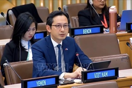 Il Vietnam chiede una cooperazione internazionale più forte per promuovere lo sviluppo&nbsp;sostenibile